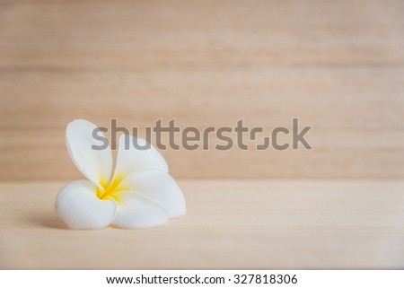 frangipani flower on a wooden background