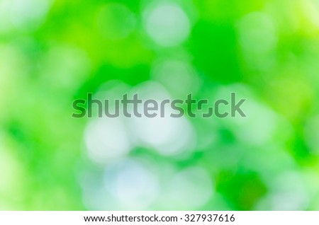 bright green bokeh from nature