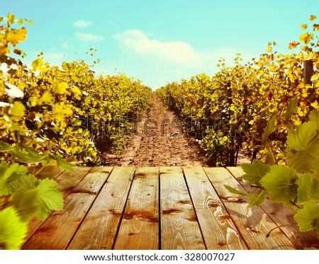 Wooden table with vineyard