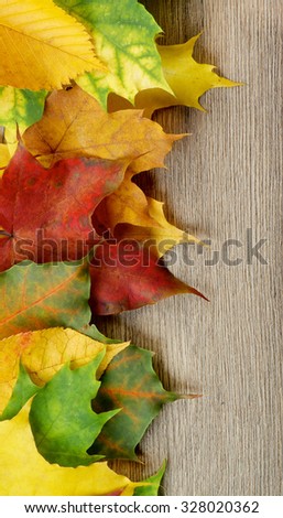 Border of Variegated Autumn Fresh Leafs closeup on Textured Wooden background