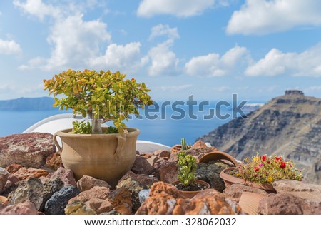 Beautiful bonsai(the decoration of the roof of the Greek house) on  the backdrop of the blurred caldera of Santorini(Thira).Close up.Cyclades Archipelago.Greece.Europe.