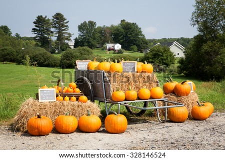 A display of pumpkins for sale at the roadside. 