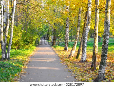 Beautiful autumn park alley with fallen leaves.