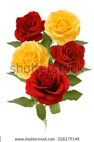 Red and yellow roses bunch isolated on white background