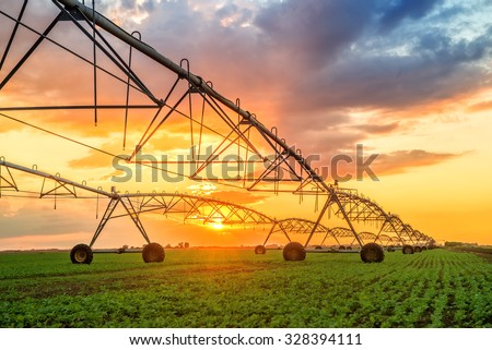 Automated farming irrigation sprinklers system on cultivated agricultural landscape field in sunset Royalty-Free Stock Photo #328394111