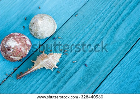 Seashells on wooden painted background. Relax and meditative background. Toned image.