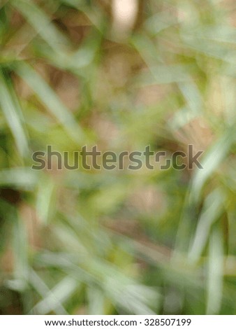 blur background from variety of green plant brown earth and shiny sunlight environment in nature outdoor for relax mood backdrop and background