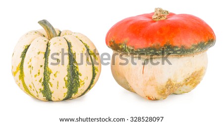 Pumpkins on a white background, pumpkins on white the isolated