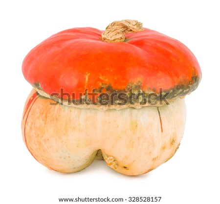 Pumpkin on a white background, pumpkin on white the isolated