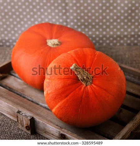 Pumpkin on Wooden Rustic Background