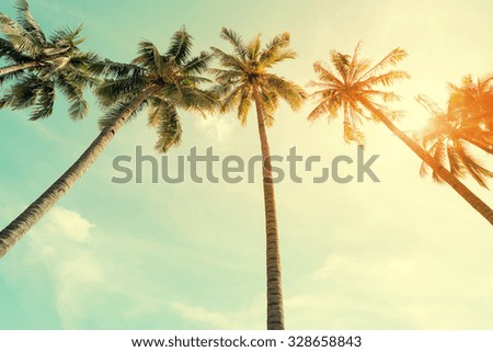 Vintage nature photo of coconut palm tree in seaside tropical coast
