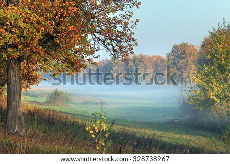 Autumn landscape sunrise in the grove on the riverbank