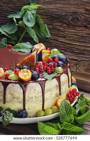 close-up of juicy fruit cake Rustic Style on  background of an old tree studio