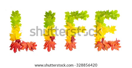 colorfully leaves in shape of word life on white background