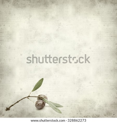 textured old paper background with ripening olives on branches 