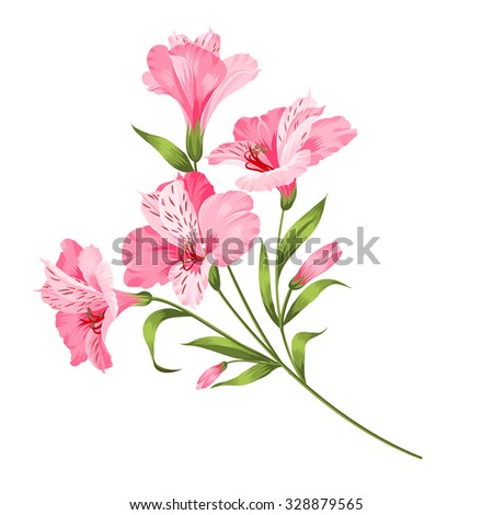Alstromeria pink branch isolated on white. Beautiful alstroemeria for your personal design. Vector illustration. Royalty-Free Stock Photo #328879565