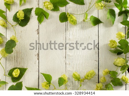 hop cones on wooden background