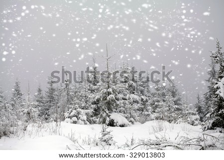 Trees covered with hoarfrost and snow in mountains - Christmas background