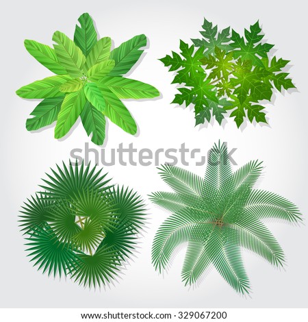 Trees top view for landscape - vector illustration