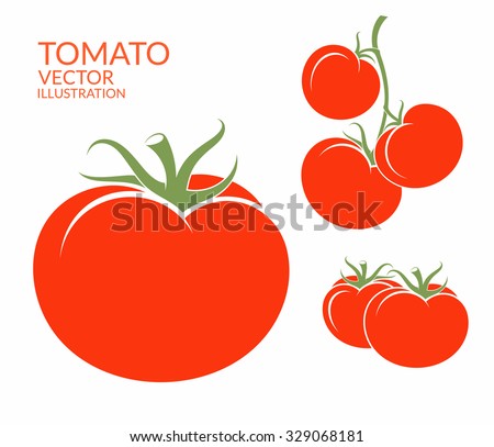 Tomato. Isolated vegetables. Vector illustration Royalty-Free Stock Photo #329068181