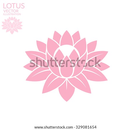 Lotus. Pink flower on white background. Vector illustration