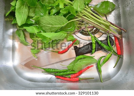 Soaking vegetables in kitchen sink, Focus on chili
