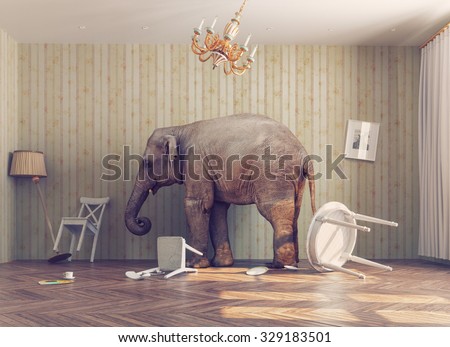 a elephant calm in a room. photo combination concept