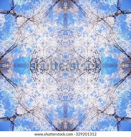 Symmetrical pattern in shades of blue, to the background or poster. The pattern created from a photo of a trees. Abstracts. Decorative, interlaced lines, the combination of fragments of images.