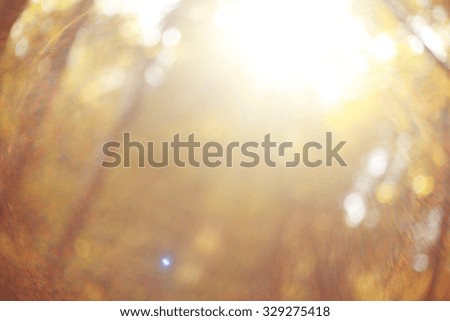 background solar flare from the lens Autumn background with leaves