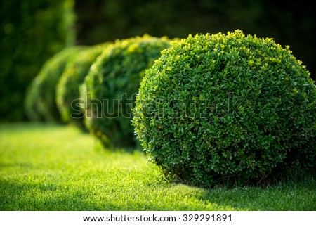 park with shrubs and green lawns, landscape design Royalty-Free Stock Photo #329291891