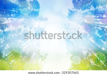 Abstract photo of light burst among trees and glitter bokeh lights. Image is blurred