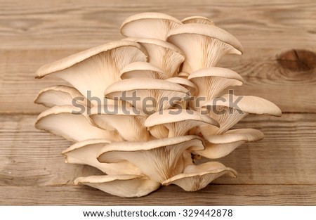 Oyster mushroom on wooden table
