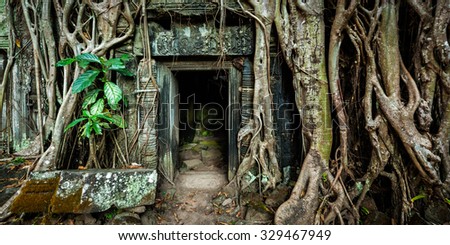 Travel Cambodia concept background - Panorama of ancient stone door and tree roots, Ta Prohm temple ruins, Angkor, Cambodia Royalty-Free Stock Photo #329467949