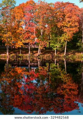 Autumn colors of leaves of trees. Autumn landscape