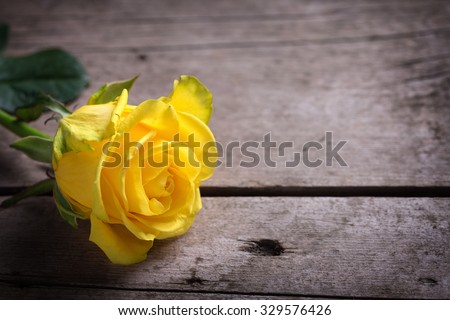 Background with yellow rose on wooden table. Selective focus. Place for text. 