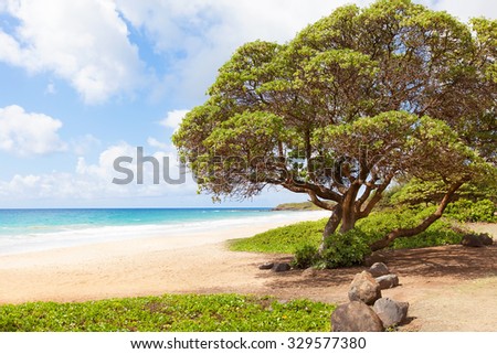 view at empty and beautiful kealia beach at kauai island, hawaii