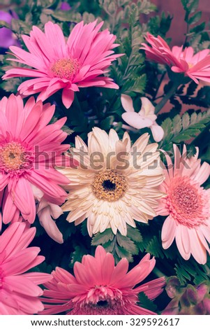 flower wedding decoration, beautiful gerbera flower blooming, vintage tone background