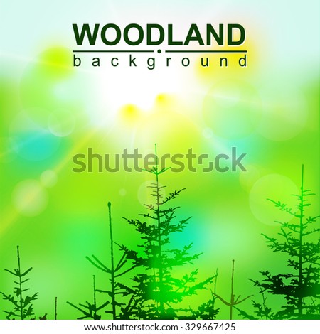  Vector eco banner with sun rays and coniferous trees. Can be used as poster, background, backdrop, label of mineral water... Eps 10.