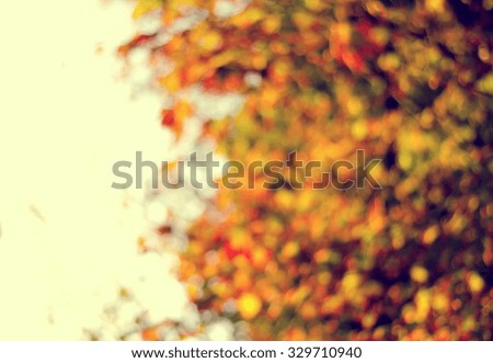 Blurred background of golden autumn leaves with bokeh for frame