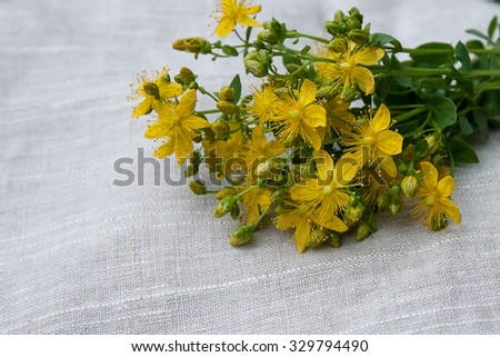 healing herbs on linen cloth