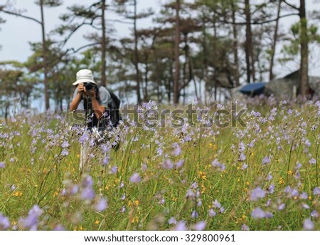 Traveller try to take a picture at flowers field, Phu Soi Dao, Thailand