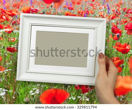 Wooden frame in beautiful woman hands on the background poppy field