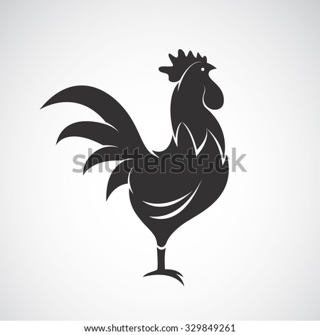 Vector image of an cock on white background Royalty-Free Stock Photo #329849261