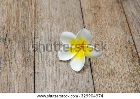 Plumeria flower on plank wood background.
