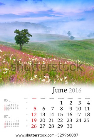 Calendar 2016. June. Colorful summer landscape in the mountains with fields of blossom flowers.