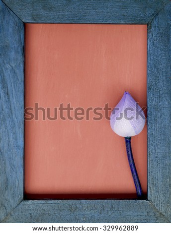 Abstract background of Purple lotus in wooden picture frame with orange background