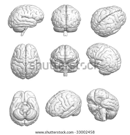 CG style 3D model of brain in various angles.