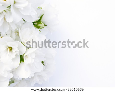 Beautiful Jasmine Bouquet