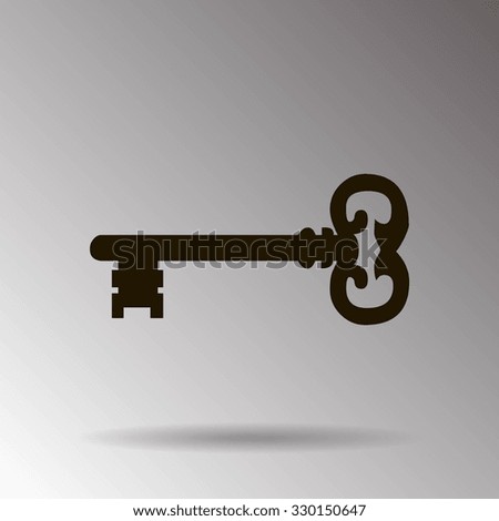 Key. Vector icon