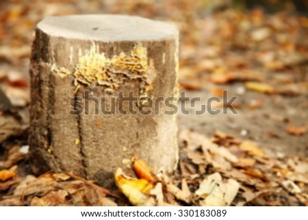 The blurry focus of  fresh wild mushroom growth on the log represent the natural and environment concept related idea.